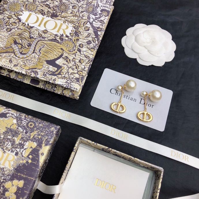 Dior Earring 04lyr375